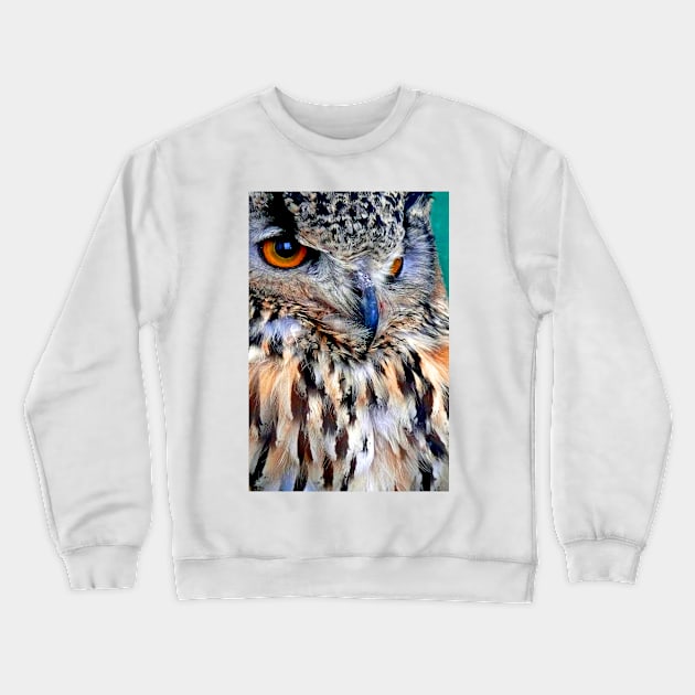 European Eagle Owl Bird of Prey Crewneck Sweatshirt by AndyEvansPhotos